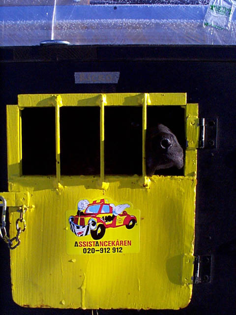 P001956