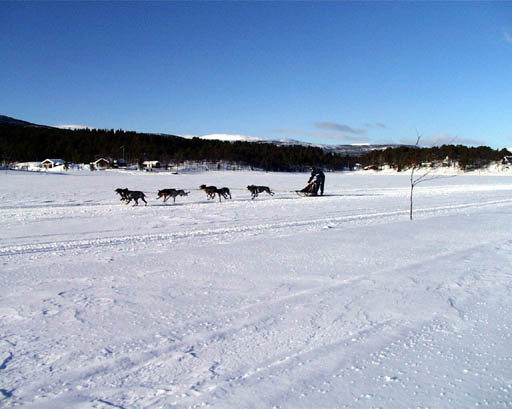 PIC00004