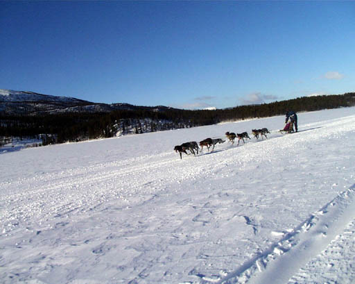 PIC00009