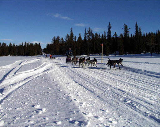 PIC00010