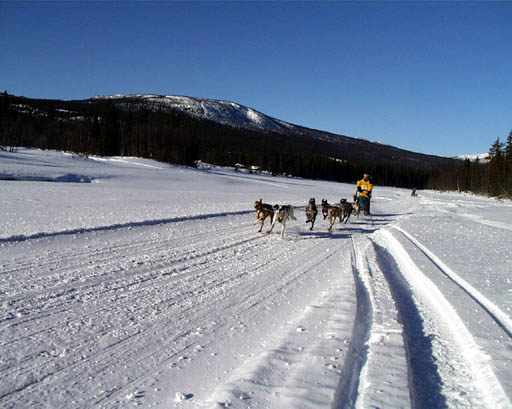 PIC00013
