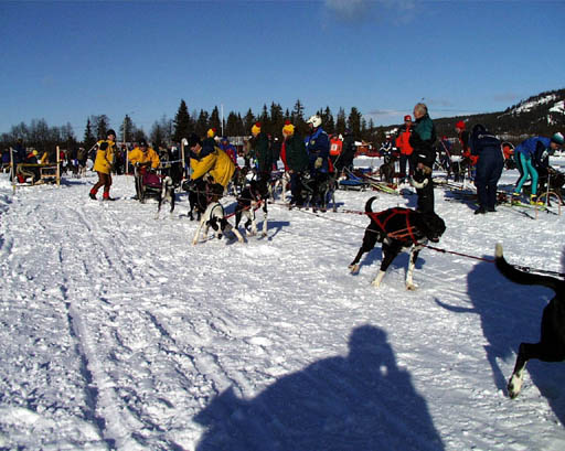PIC00018