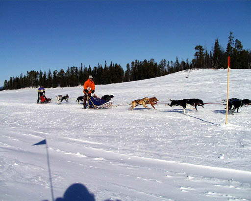 PIC00028
