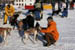 AUT_2569