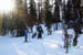 AUT_2602