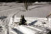 AUT_2660