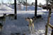 AUT_2670