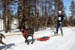 AUT_2703