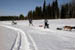 AUT_2713