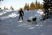 AUT_2726