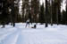 AUT_2741