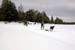 AUT_2826