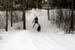 AUT_2833