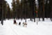 AUT_2869