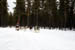 AUT_2870