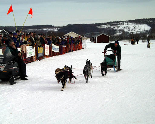 PIC20001