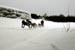 AUT_2966