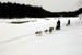 AUT_2973
