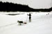 AUT_2974