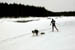 AUT_2976