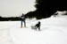 AUT_2979