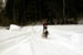 AUT_2980