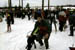 AUT_2982