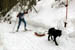 AUT_2989