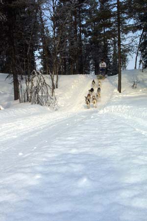 IMG_0294