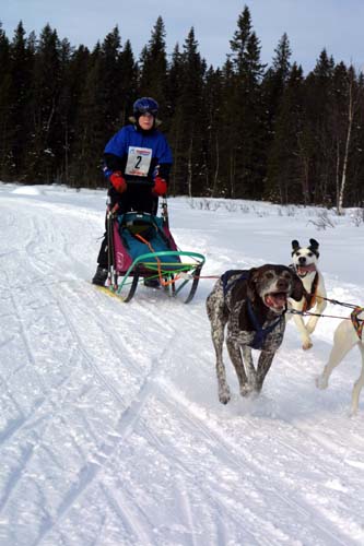 IMG_0462