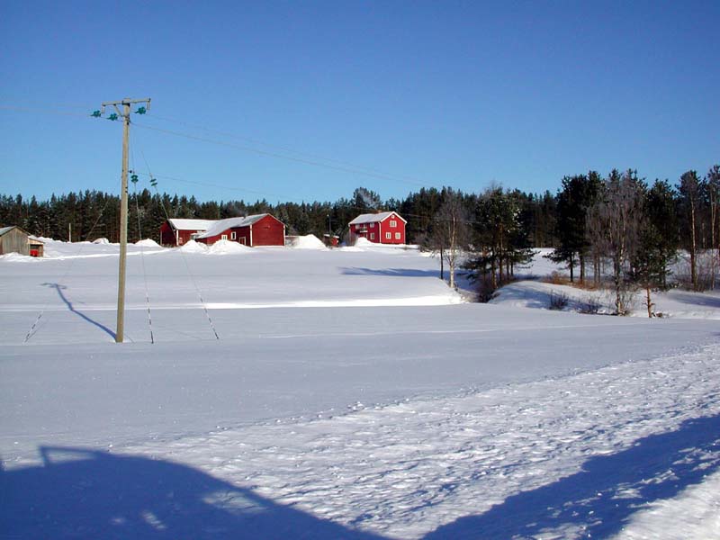 DSCN0861