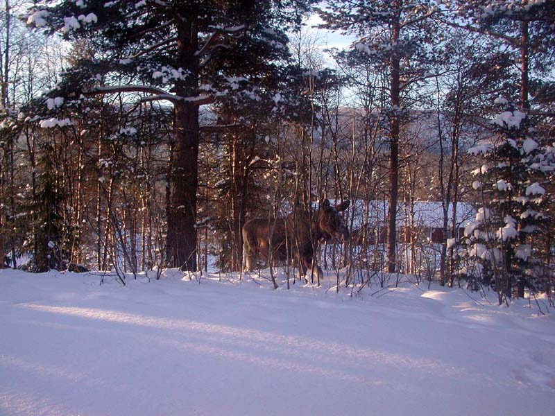 DSCN0870