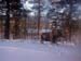 DSCN0871