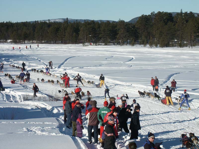 PICT0193