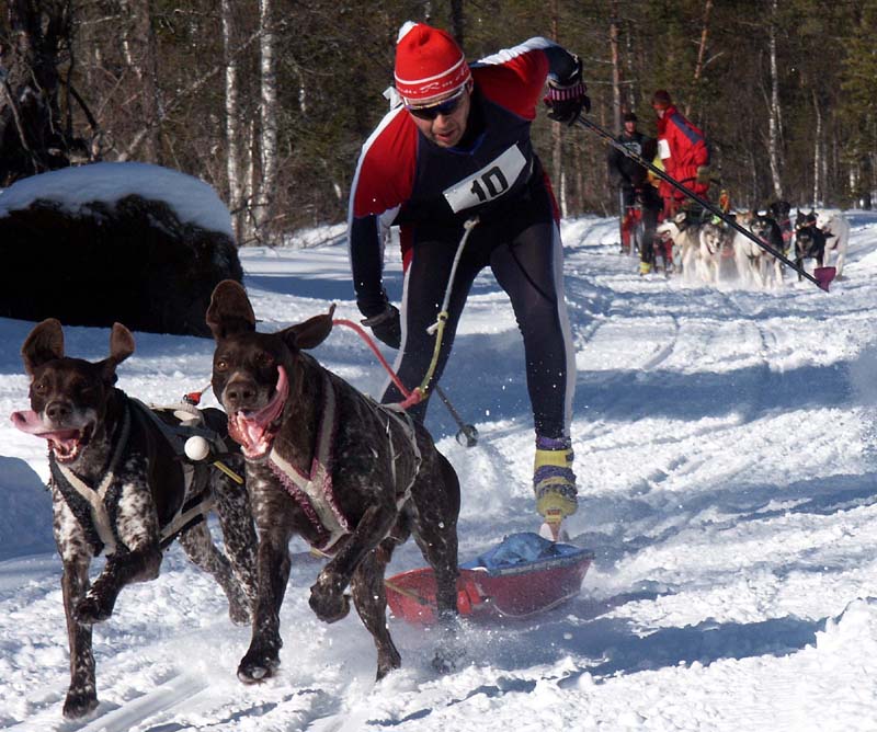 PICT0246