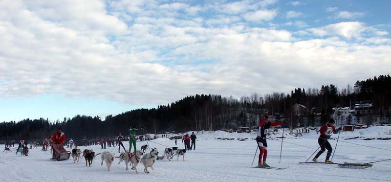 PICT0303