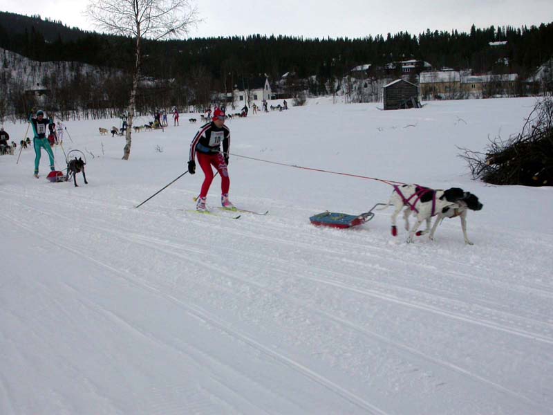 DSCN1491