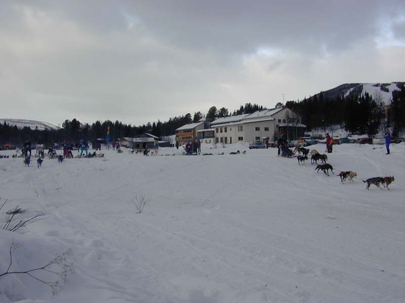 DSCN5111