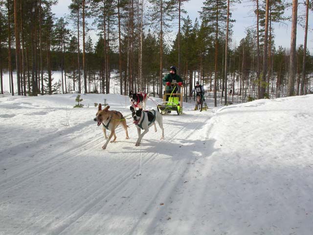DSCN5370