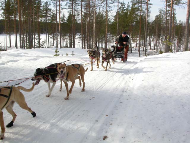 DSCN5374