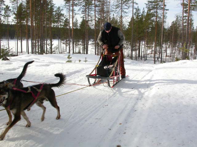 DSCN5375