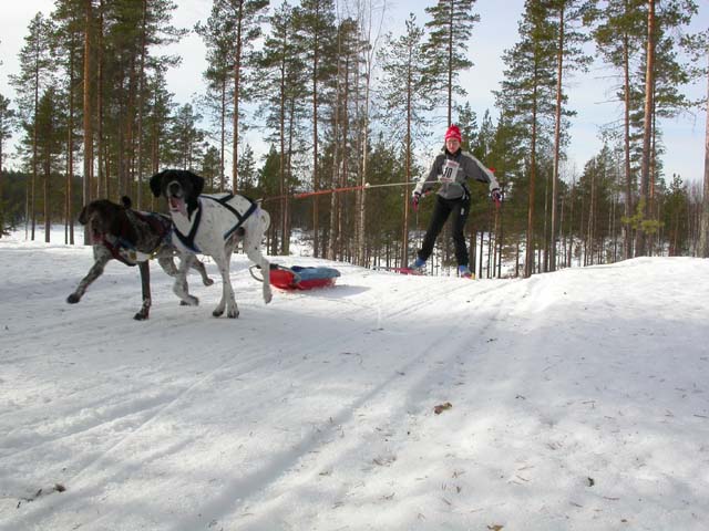 DSCN5376