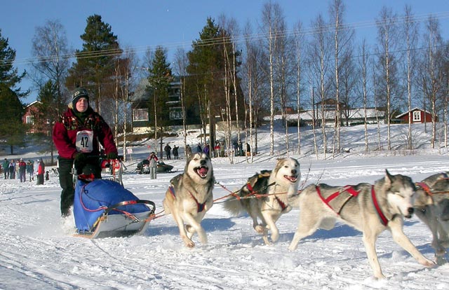DSCN1662