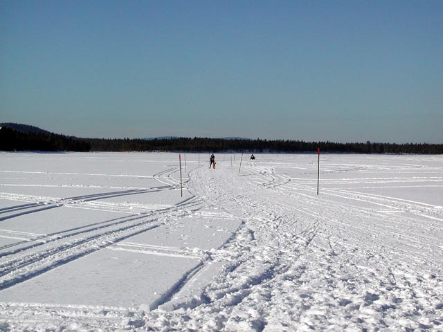 DSCN7410