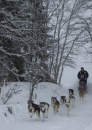 DSC_4368 * 1767 x 2487 * (2.53MB)