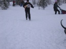 IMG_2954 * 2272 x 1704 * (1.36MB)