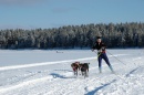 DSC_4392 * @ Per Igsell * 3008 x 2000 * (2.72MB)