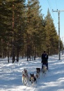 DSC_4547 * @ Per Igsell * 1857 x 2602 * (4.26MB)