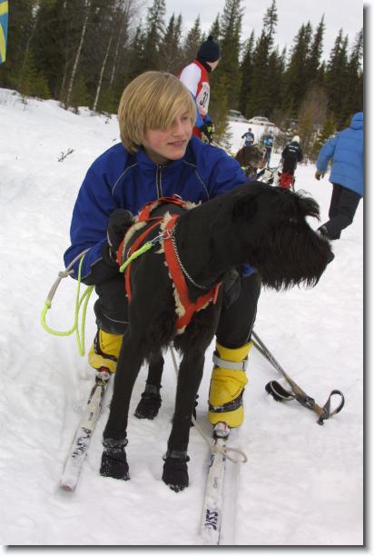 N�sta bild