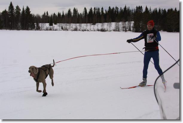 N�sta bild